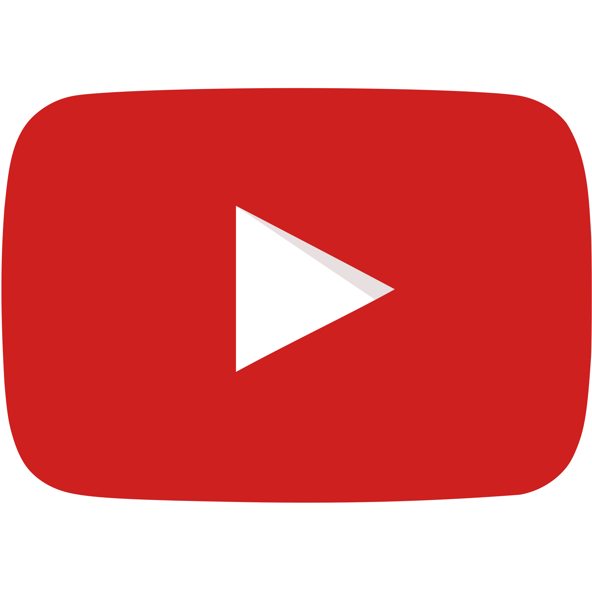 youtube-logo-a100